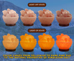 Himalayan Salt Lamp Bowl with Natural Crystal Chunks, Dimmer Cord and Classic Wood Base Premium Quality Authentic from Pakistan